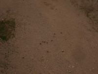 2014-08-02_06FritzPflaum-Steig (368).JPG